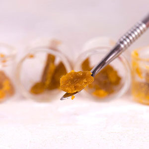 Concentrates